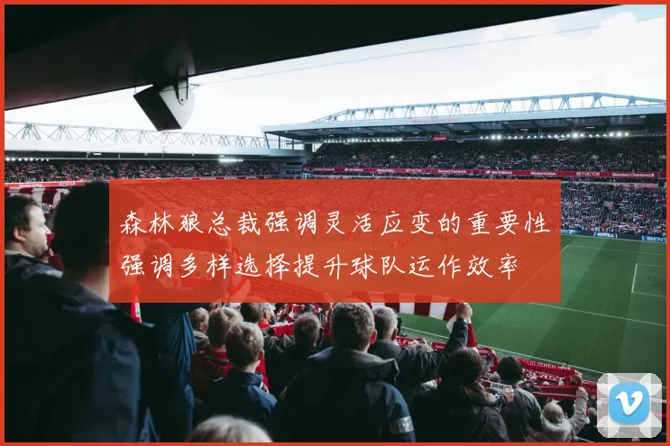 森林狼总裁强调灵活应变的重要性强调多样选择提升球队运作效率