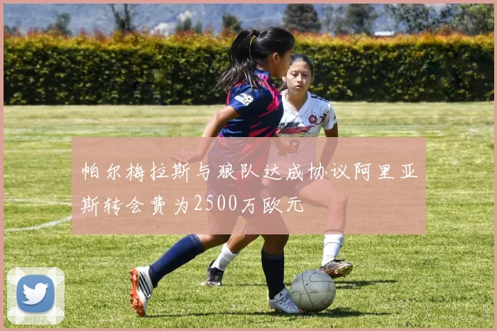 帕尔梅拉斯与狼队达成协议阿里亚斯转会费为2500万欧元