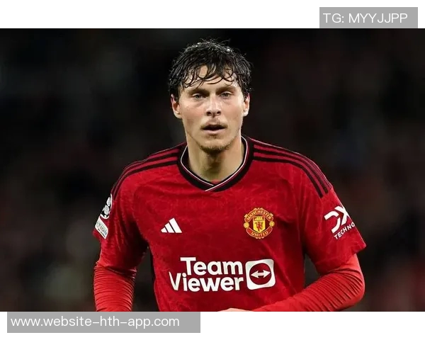 费内巴切花费超2000万欧成功签下埃因霍温中场威尔曼